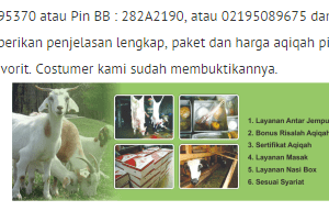 jasa kambing aqiqah bekasi 2016