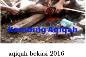 paket aqiqah bekasi 2016
