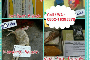 harga paket kambing aqiqah 2016 bekasi timur