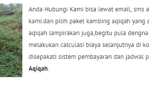 paket akikah bekasi