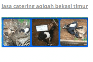 paket aqiqah murah di bekasi timur
