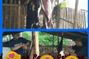 layanan aqiqah di bekasi timur