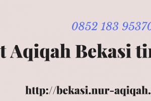 paket kambing aqiqah bekasi timur