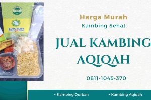 Paket 1 Kambing Aqiqah Daerah Cabangbungin