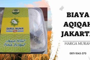 Paket Kambing Aqiqah Murah Babelan