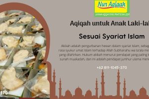 Paket 1 Kambing Aqiqah Murah Muara Gembong