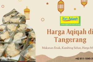 Paket 2 Kambing Aqiqah Murah Cikarang Pusat