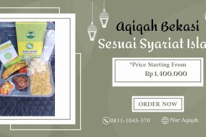 Paket Domba Aqiqah Murah Muara Gembong