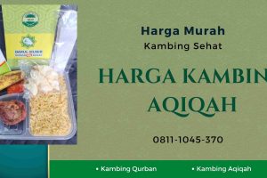 Paket Kambing Aqiqah Murah Kedung Waringin